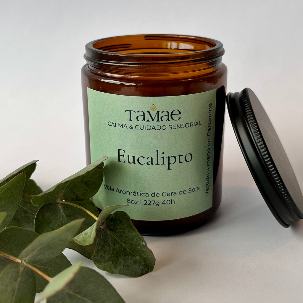 Vela de Eucalipto