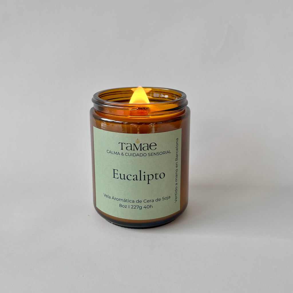Vela de Eucalipto